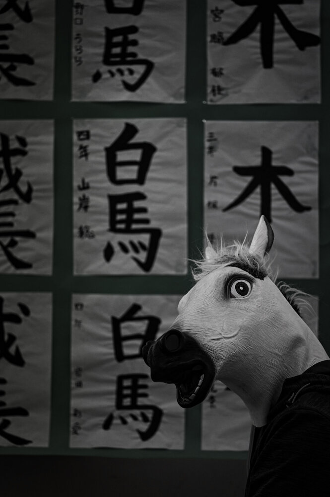 Photograph by Gunma No UMA