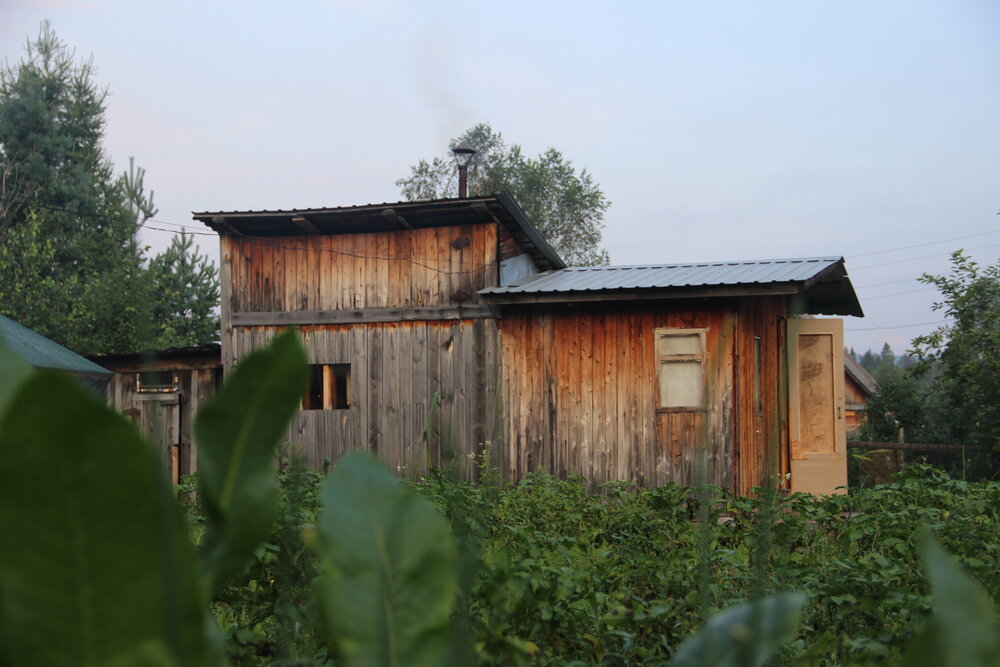 Photograph by Алёна Анфимова
