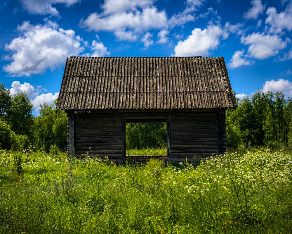Photograph by Игорь Дмитриев