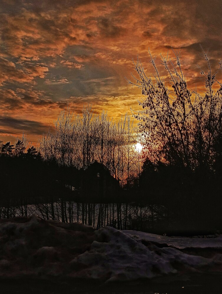 Photograph by Zagrebaeva Margarita