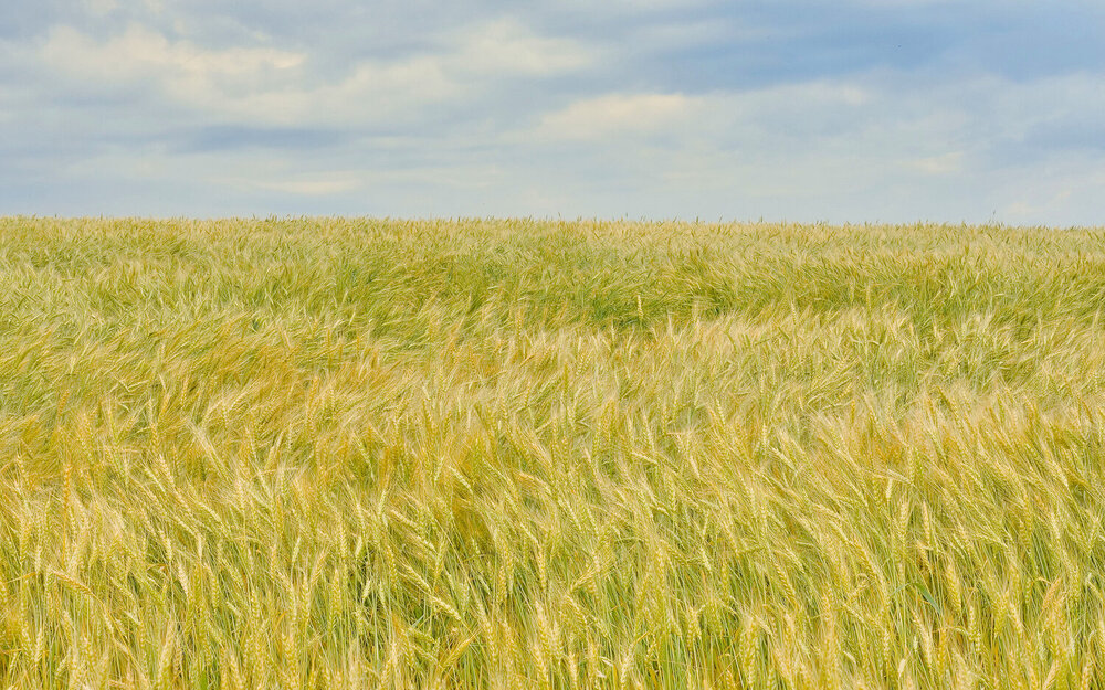 Photograph by Олег Шлыгин