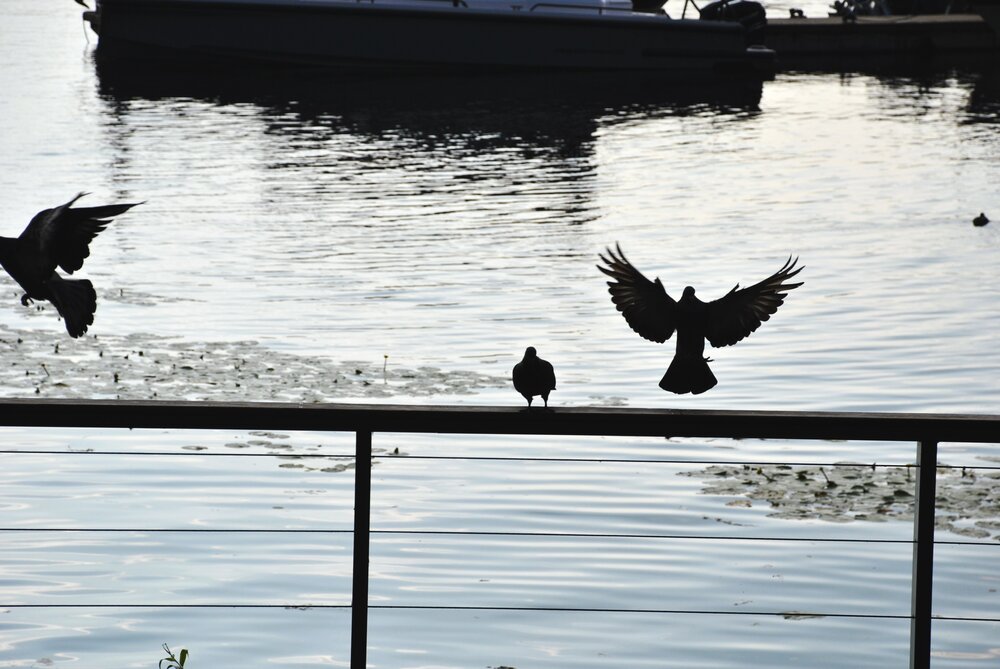 Photograph by Илья Кнышенко
