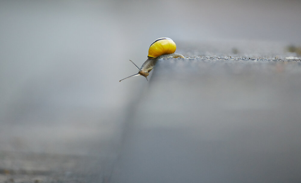 Photograph by Prometej