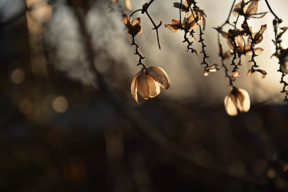 Photograph by Анжелика