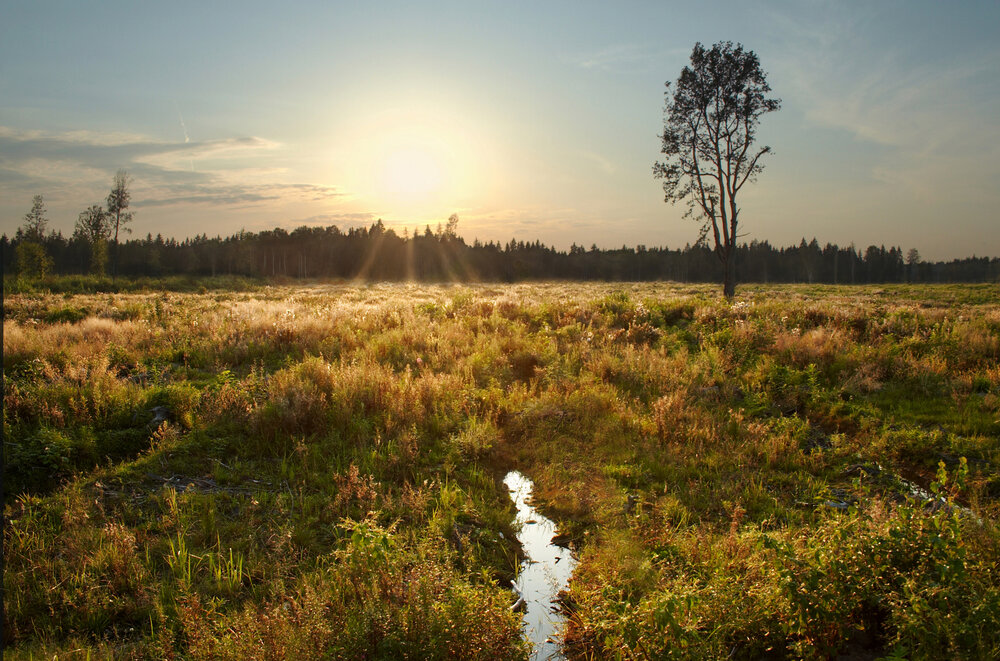 Photograph by Prometej