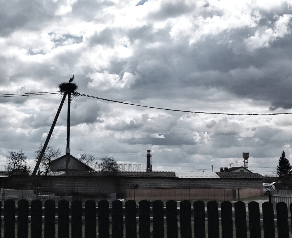 Photograph by Светлана Ильющиц