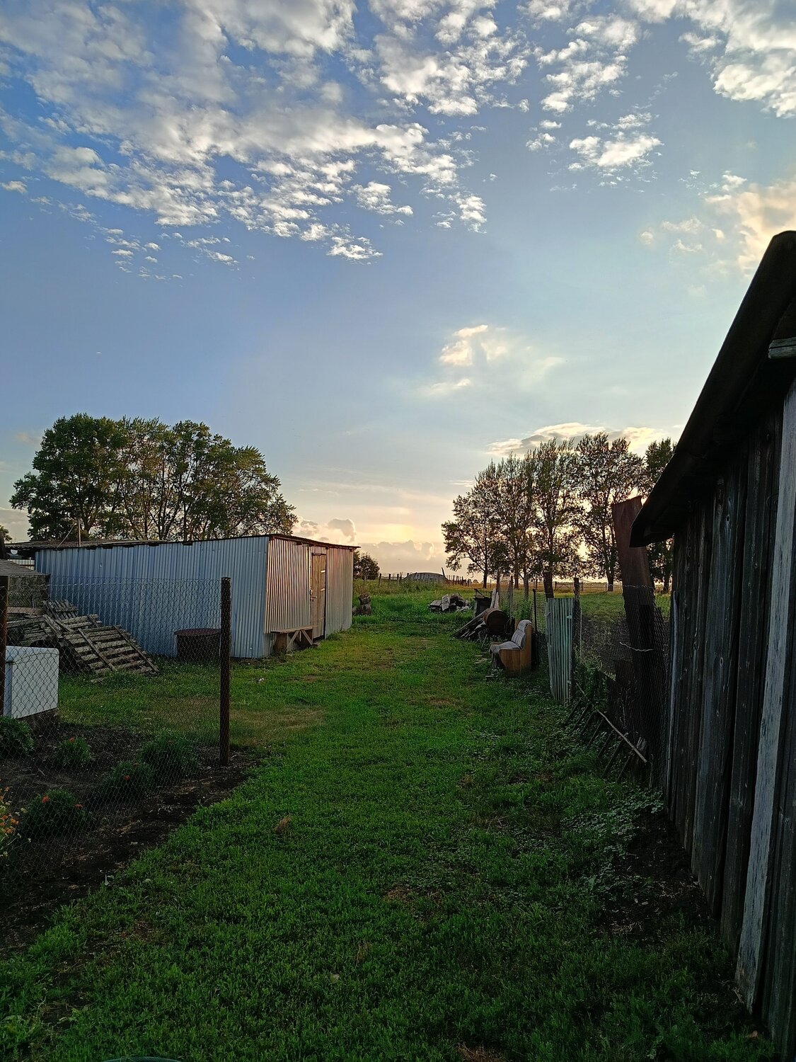 Photo #13818783