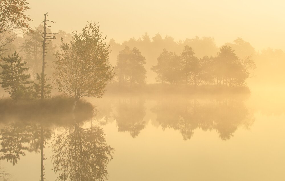 Photograph by Elvis Antson