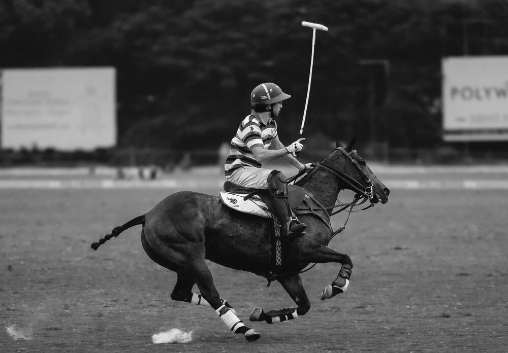 \"Where balance defies velocity\"