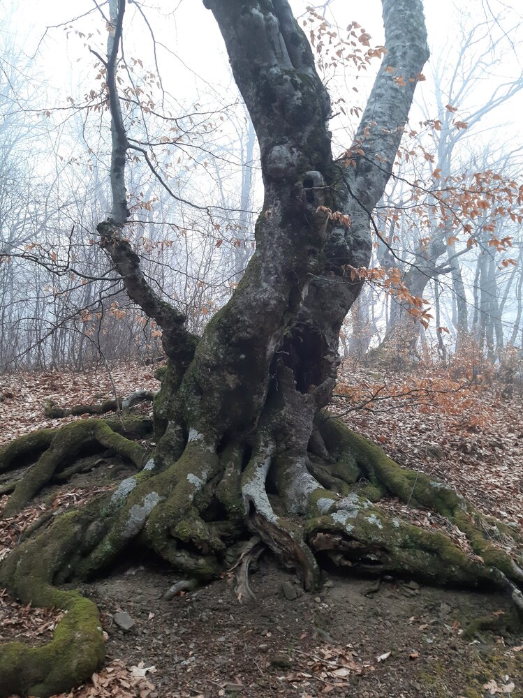 Photograph by Галина Глазкова