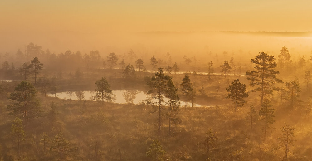 Photograph by Elvis Antson