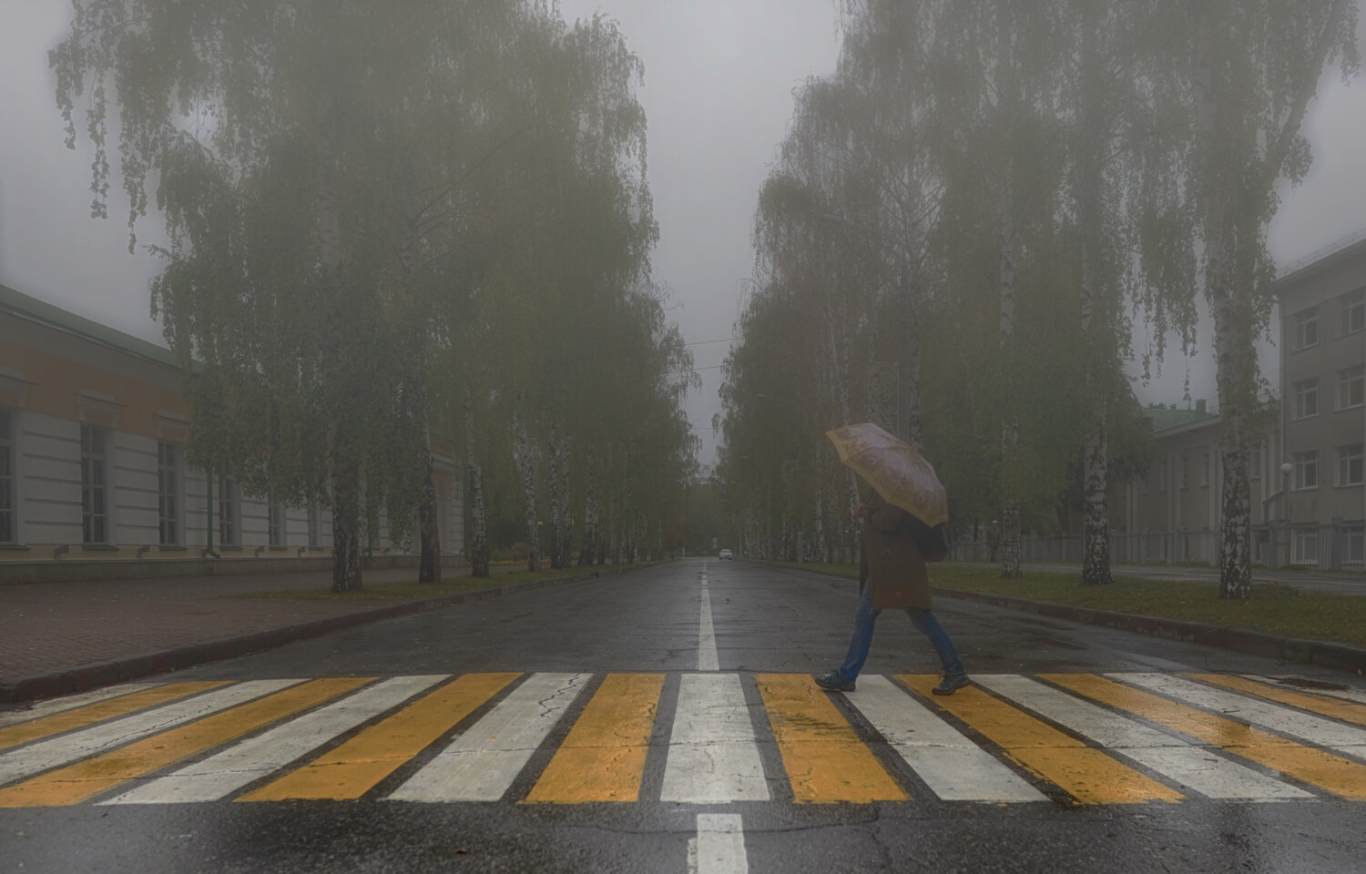 Photo #13819101