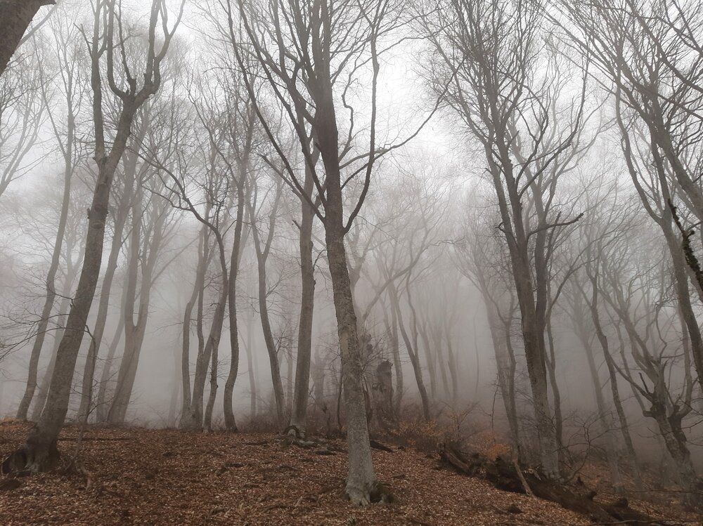 Photograph by Галина Глазкова