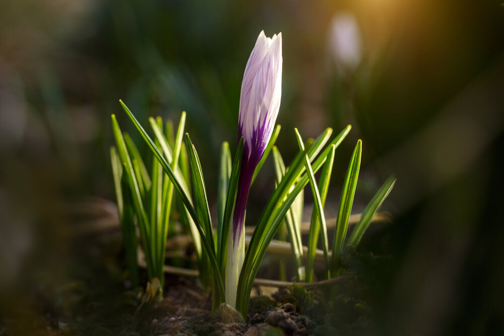 Photograph by Владимир Л