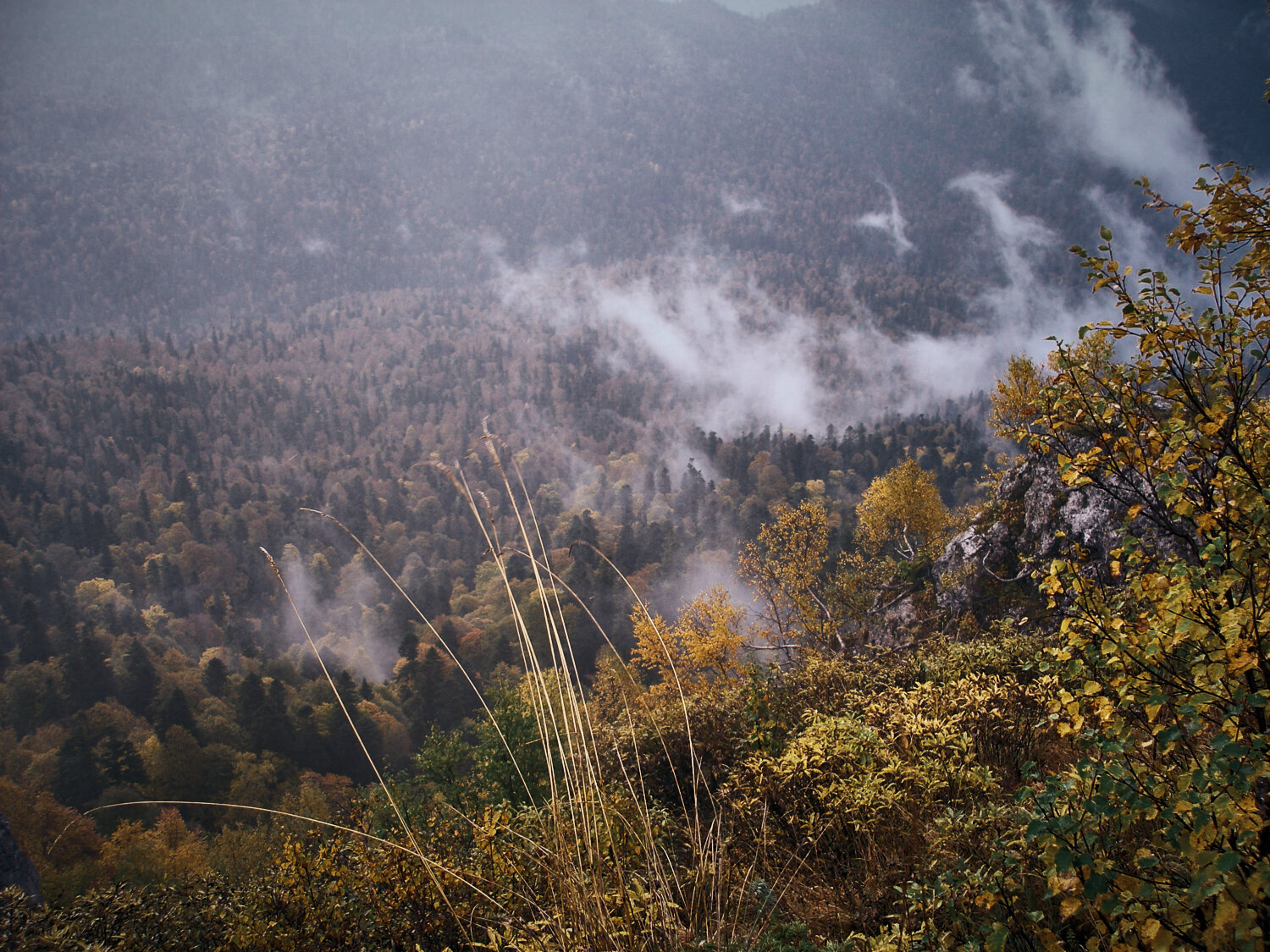 Photo #13819137