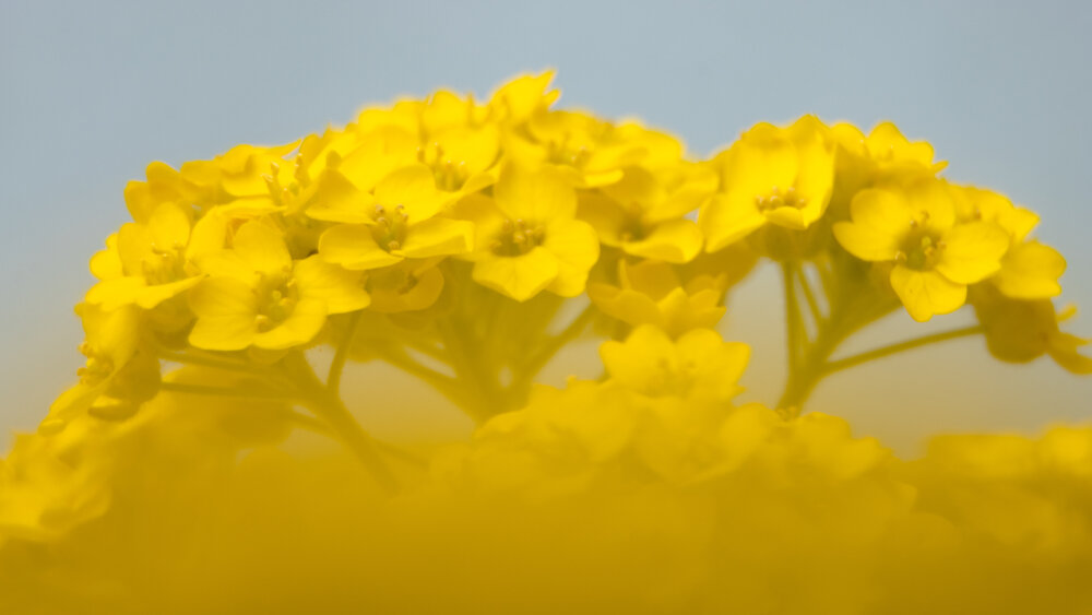 Photograph by Татьяна Романова
