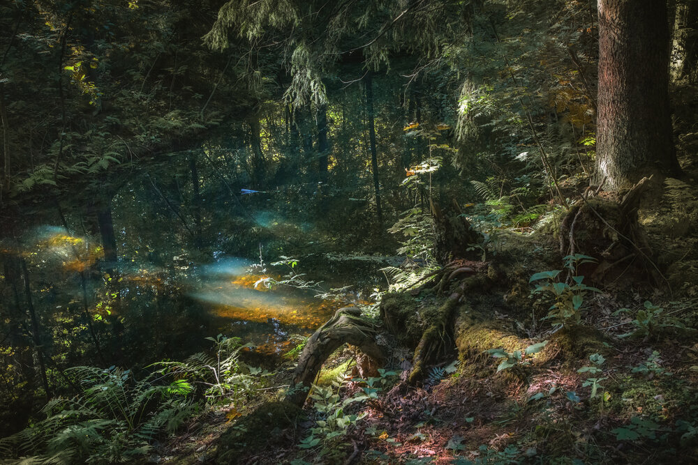 Фотография автора Ирина Заколдаева