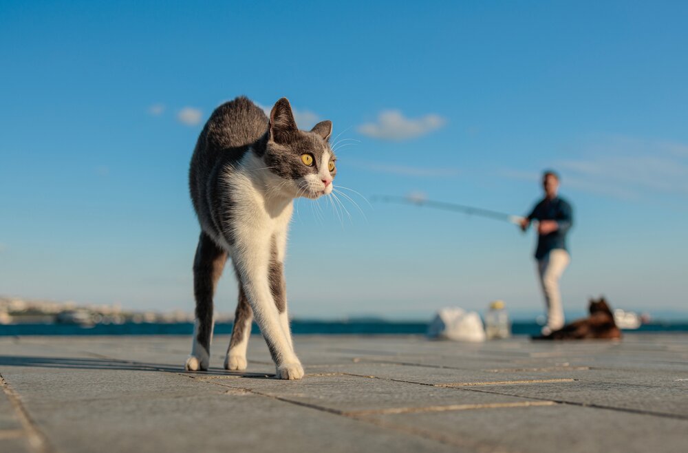 Photograph by Анна Васильева