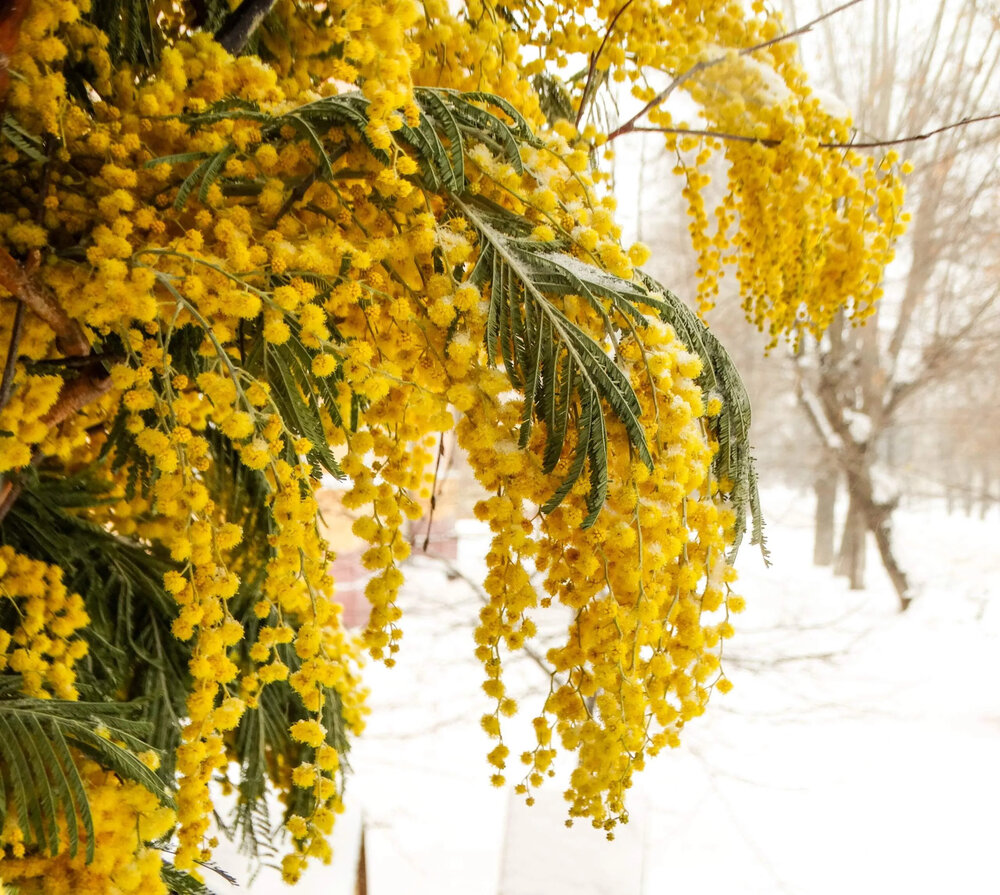 Photograph by Анжелика Трошина
