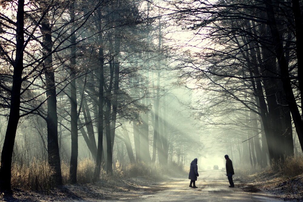 Photograph by Алексей Макаров