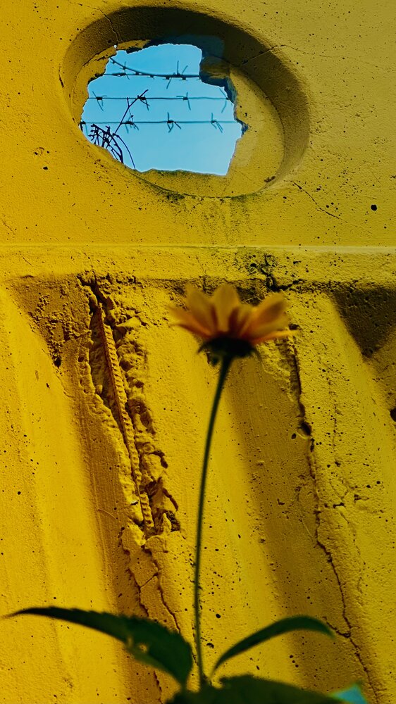 Photograph by Максим Азарчик