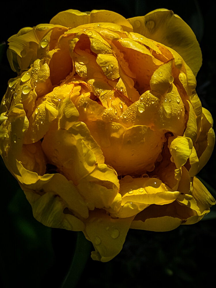 Photograph by Ирина Куренкова