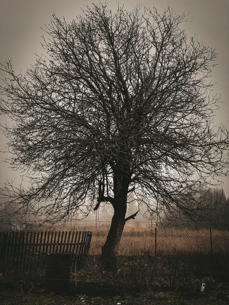 Photograph by Ирина Куренкова