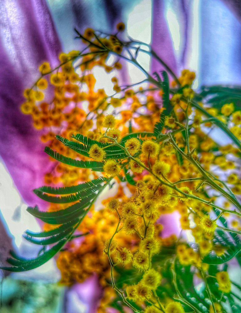 Photograph by Ульяна Кузьмина