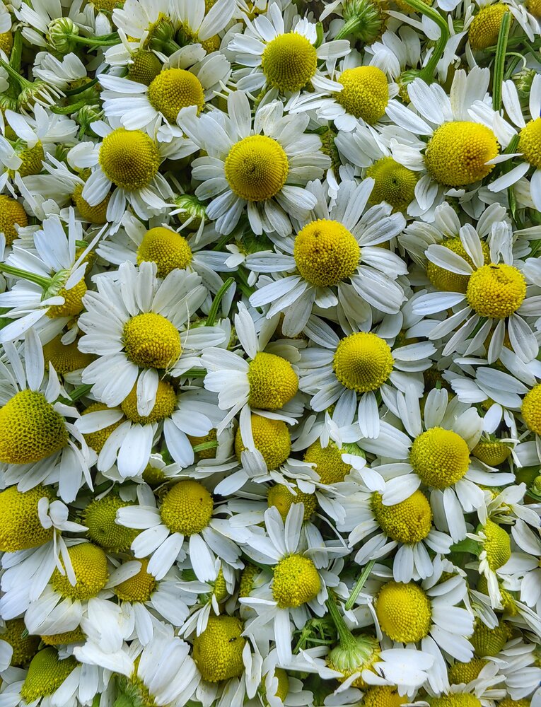 Photograph by Ульяна Кузьмина