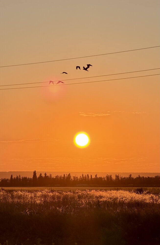 Photograph by Ирина Молибог