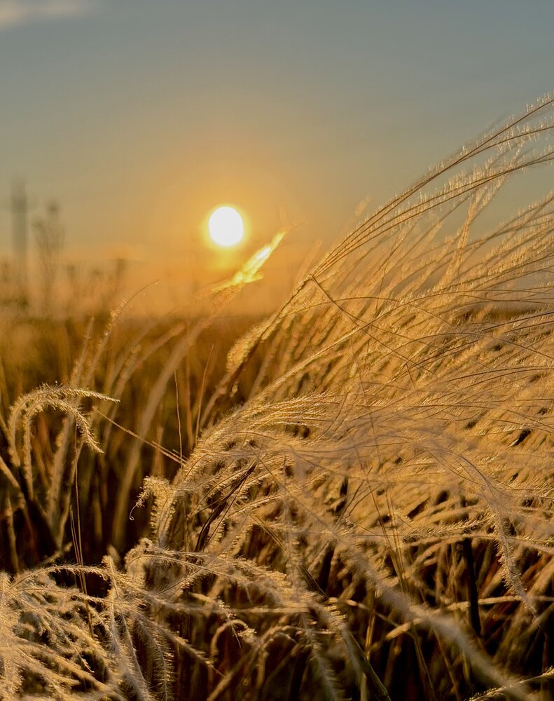 Photograph by Ирина Молибог