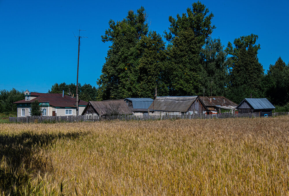 Photograph by Николай Абакумов