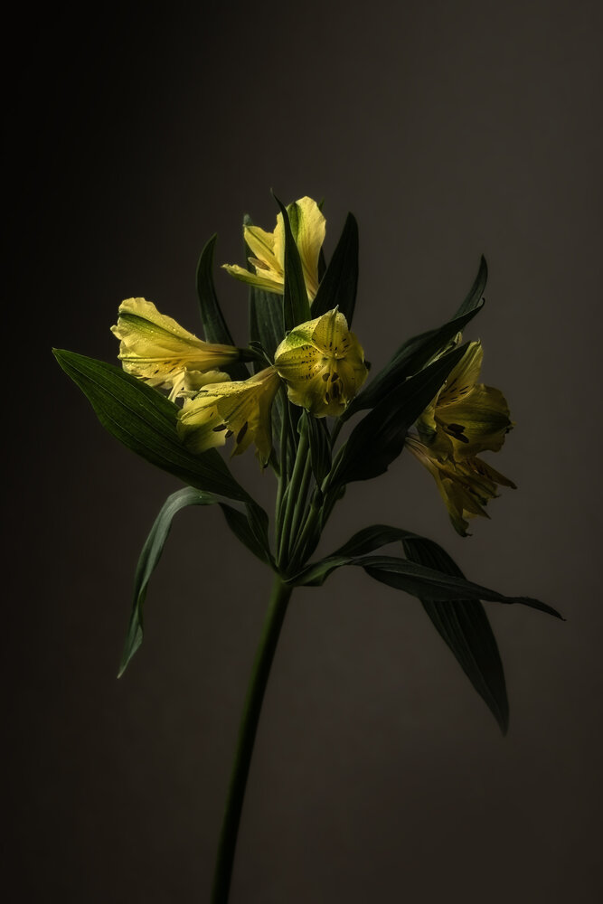 Photograph by Юлия Куликова