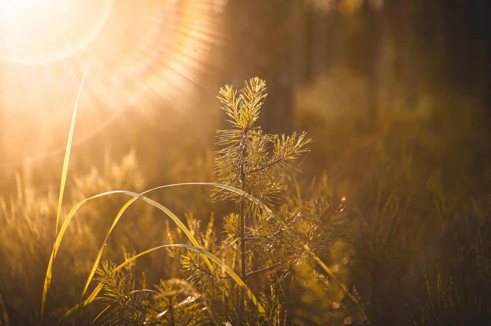 Photograph by Глеб Обуховский