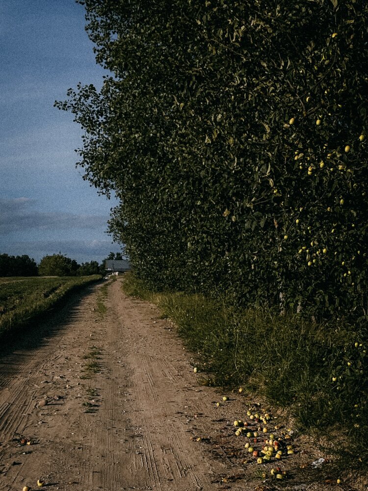 Фотография автора Ольга Каминская