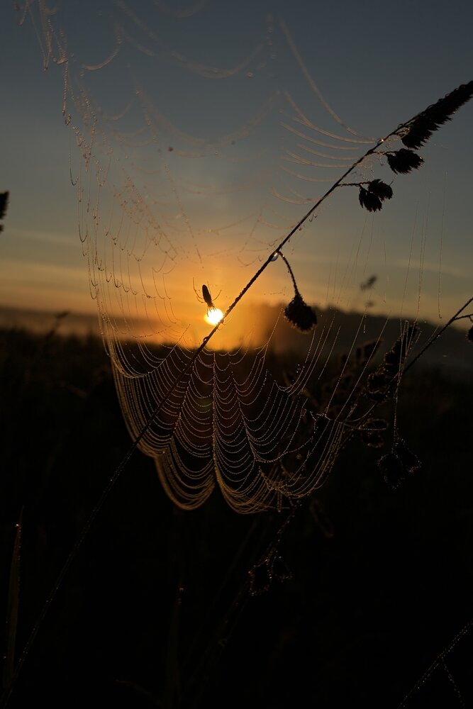 Photograph by Ольга Каминская