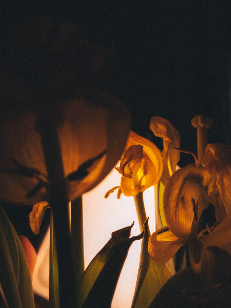 Photograph by Анна Голубцова