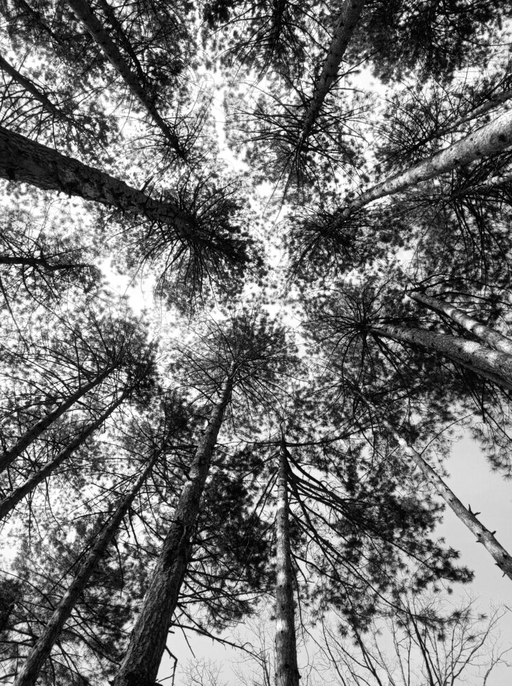Photograph by Мила
