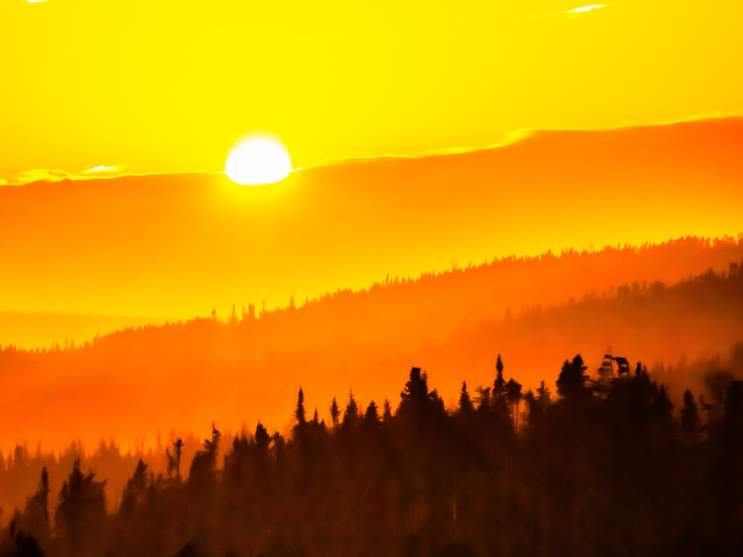 Photo #13819939