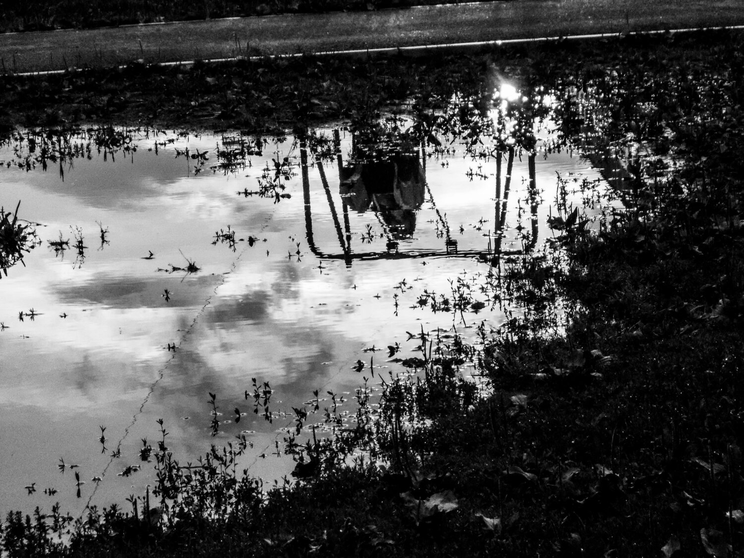 Photo #13819952