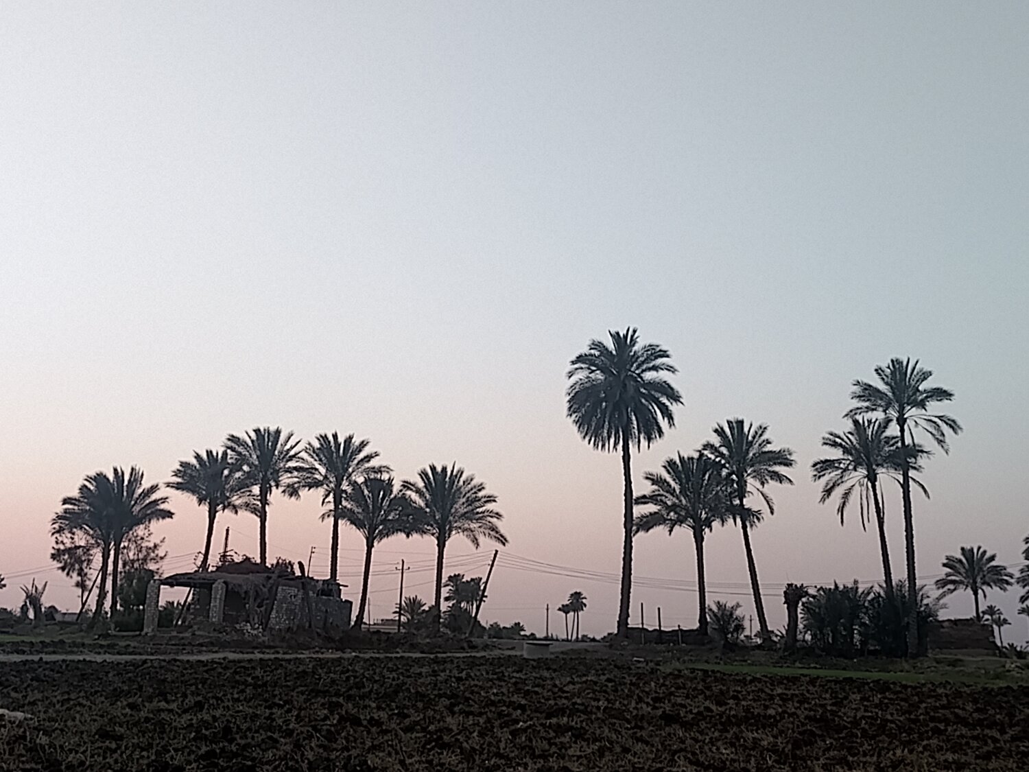 Sunset in Egyptian village Sunset in Egyptian village