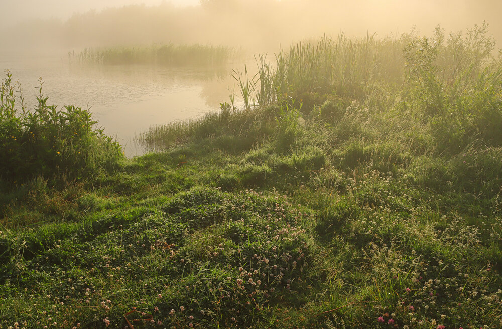 Photograph by Ольга Алёшина
