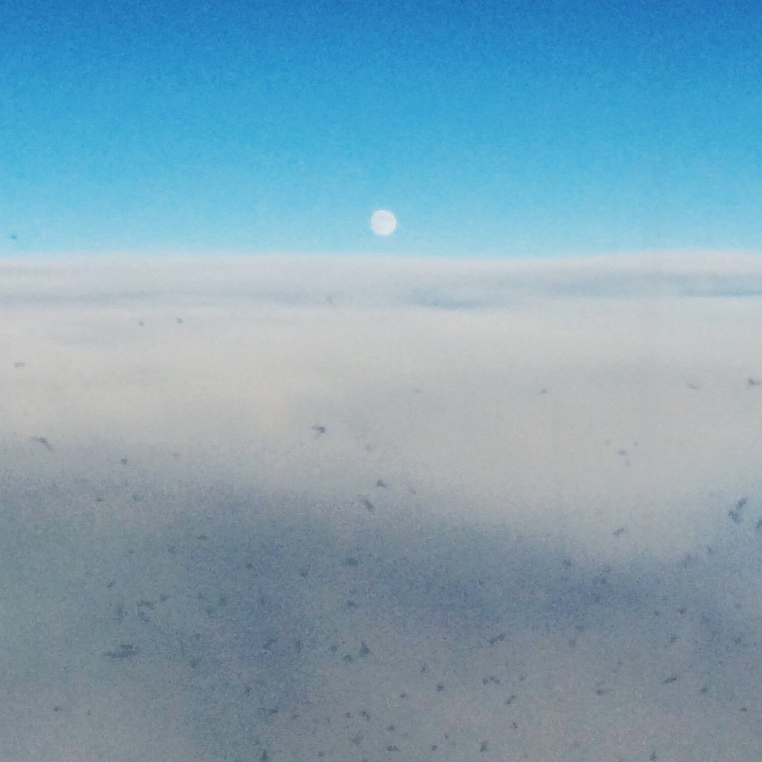 Photo #13820002
