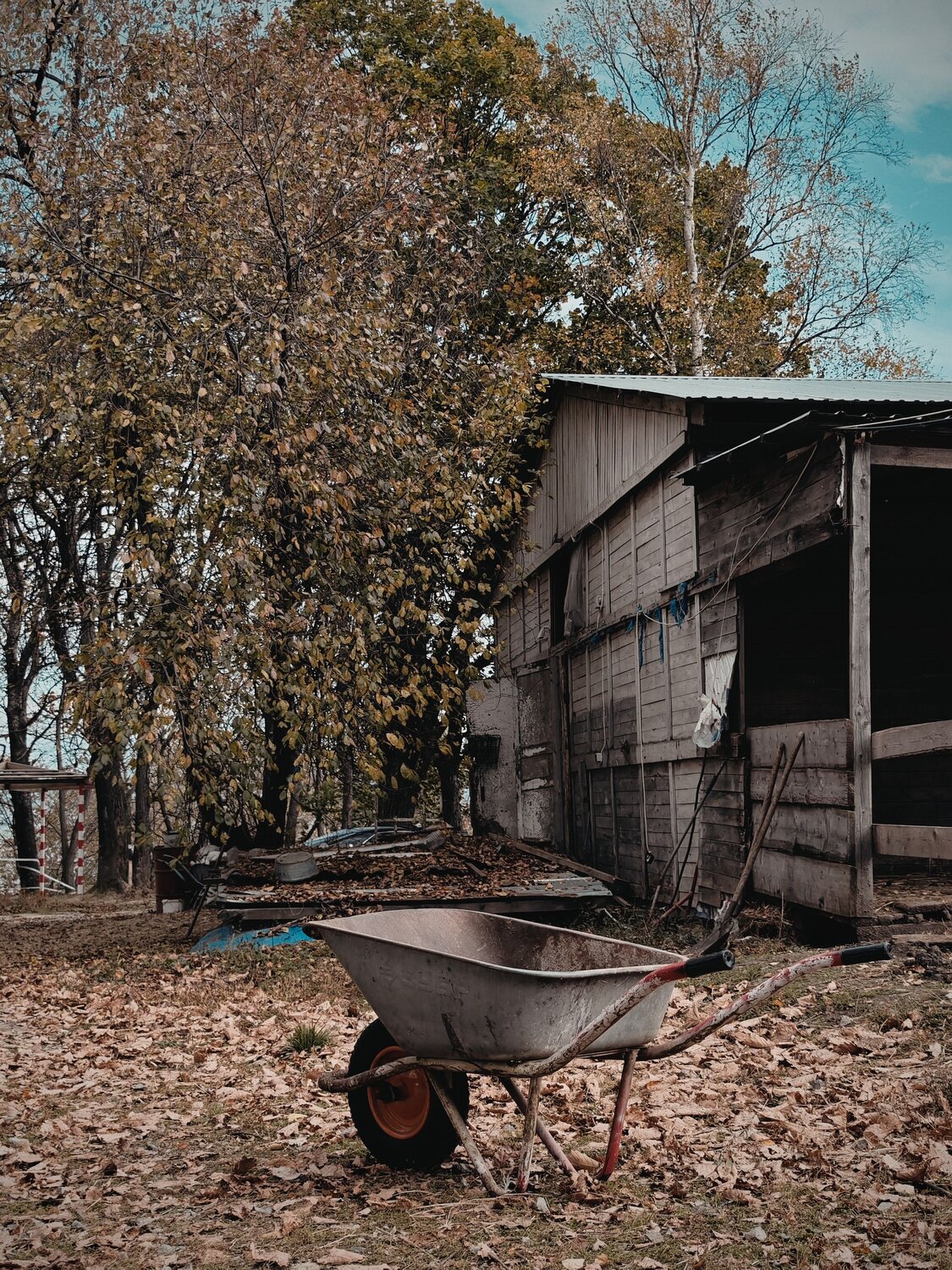Photo #13820061