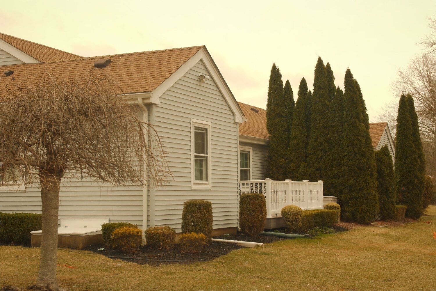 Photo #13820094