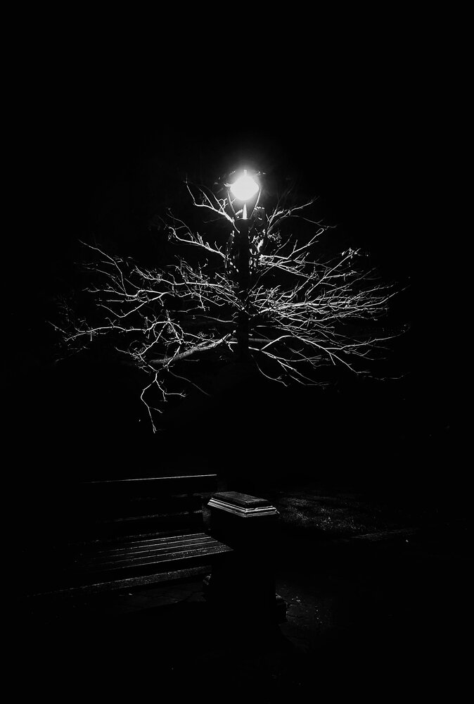 Photograph by Таращук Евгений