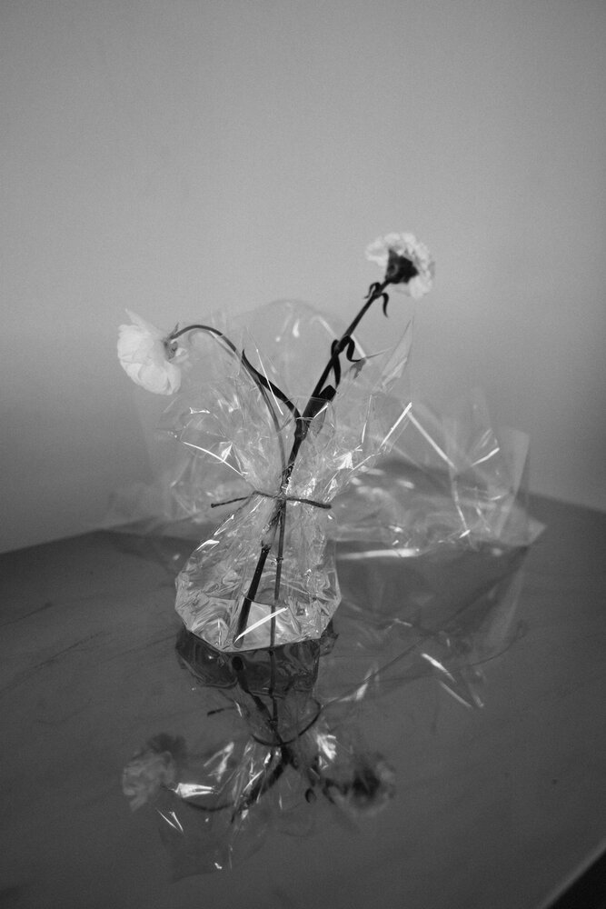 Photograph by Анна Черняйкина