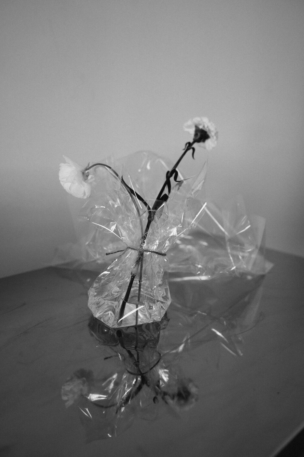 Photo #13820203