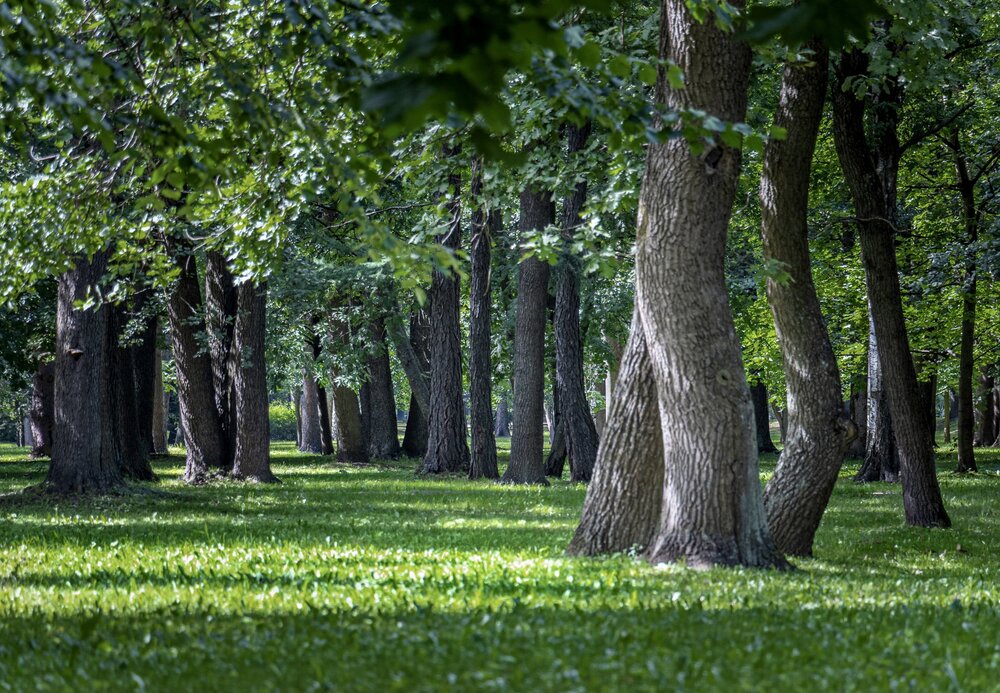 Photograph by Гордий Михаил