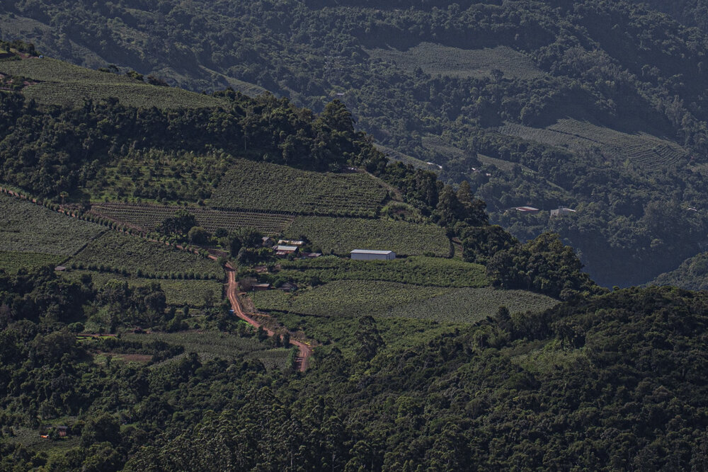 The road in the valley